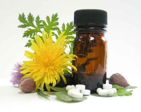 homeopatia_cica.jpg